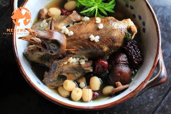 Chim Trĩ Hầm Thuốc Bắc: Món Ngon Bổ Dưỡng Cho Sức Khỏe